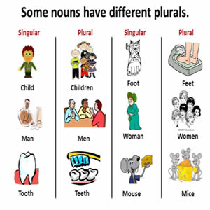 PluralOnly Nouns in English Grammar  LanGeek